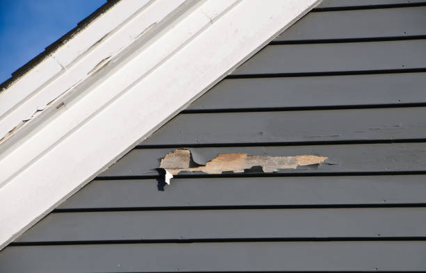 Best Siding Painting and Refinishing  in Fort Stockton, TX